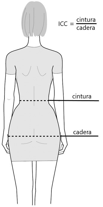 cintura-cadera